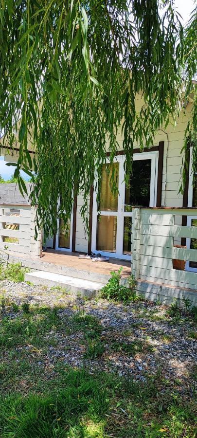Lukomorye Pițunda Exterior foto